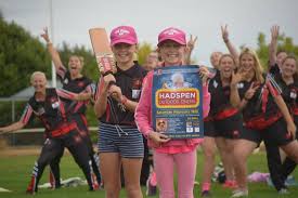 Image result for Fenton Cricket Club