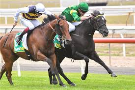 Image result for Thoroughbreds Netball Clubs