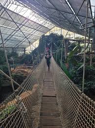 Image result for Seishin Jc