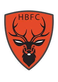 Image result for Bracknell Manics Fc