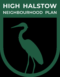 Image result for Lower Halstow Fc