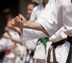 Image result for Colchester Shotokan Karate Club