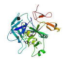 Coagulation <b>Factor IX</b>
