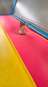 Image result for Concorde Trampoline Academy