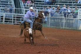 Image result for Reading University Riding Club