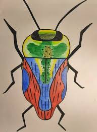 Attēlu rezultāti vaicājumam “Caenolyda reticulata”