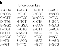 Image result for  N   E       O X j   O