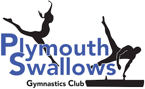 Image result for Swallows Trampoline Club
