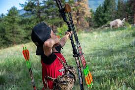 Image result for The Bowmen Of Lyme Archery Club