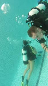 Image result for Bedford Scuba Divers