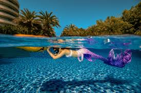 Image result for Discover Swimming