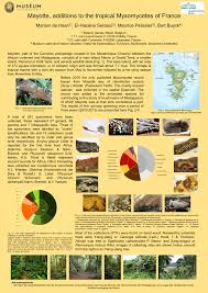 Attēlu rezultāti vaicājumam “Clastodermataceae”