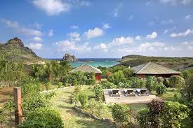 Image result for fernando de noronha
