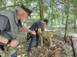 Image result for St Giles Yarners R&PC