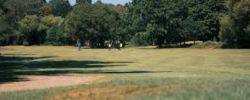 Image result for Downshire Golf Complex