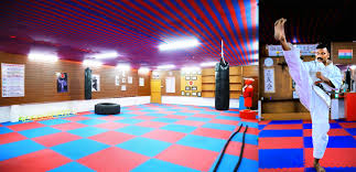 Image result for Seiki Juku Karate Organisation