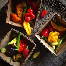 Afbeeldingsresultaat voor thai yellow hot pepper
