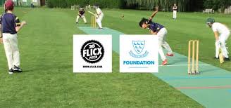 Image result for Chiddingly Cricket Club