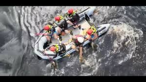 Image result for Teamsheep