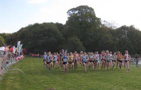 Image result for Lincoln Wellington Athletic Club