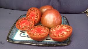 Afbeeldingsresultaat voor black oxheart tomato