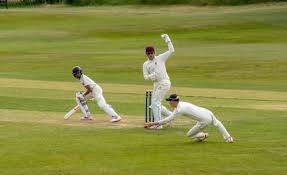 Image result for Griff & Coton Cc