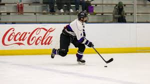 Image result for York University Hockey Club