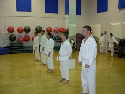 Image result for York University Karate Club