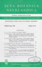 Attēlu rezultāti vaicājumam “Licea testudinacea”