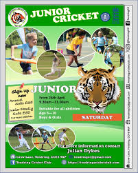 Image result for Tendring Cricket Club