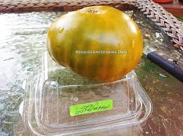 Afbeeldingsresultaat voor marmande jaune tomato