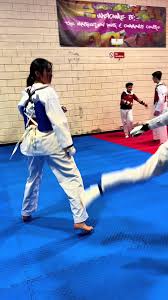 Image result for New Milton Taekwondo Club