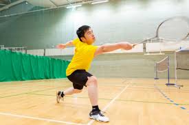 Image result for Vale Badminton Club