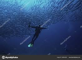 Image result for Tornado Divers