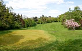 Image result for Cranleigh Cricket Club