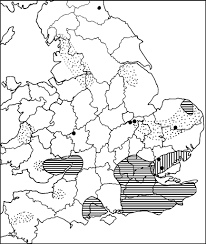 Attēlu rezultāti vaicājumam “Phleogena faginea sessile”