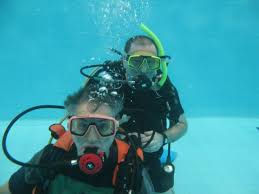 Image result for Torbay Sub-Aqua Club