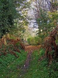 Image result for Stourport-On-Severn Cc