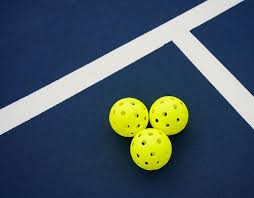 Image result for David Lloyd (Bristol) Badminton Club