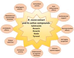 Attēlu rezultāti vaicājumam “Rhodiola rosea”