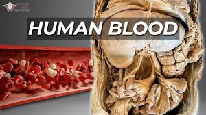 Image result for blood
