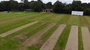 Image result for Botany Bay Cricket Club