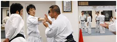 Image result for Imi Jishin Ryou karate do