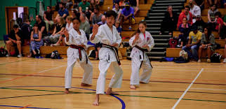 Image result for Haxby karate club