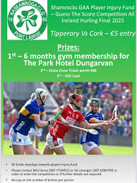 Image result for Shamrocks Hurling & Football Club