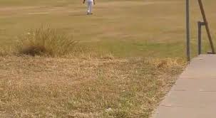 Image result for Southampton Community Cc