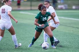 Image result for Auchterarder Primrose Juvenile Football Club