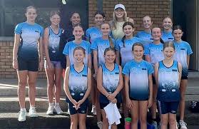 Image result for Haxby Netball Club