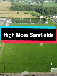 Image result for Sarsfield Gfc