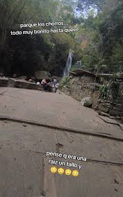 「parque los chor」の画像検索結果